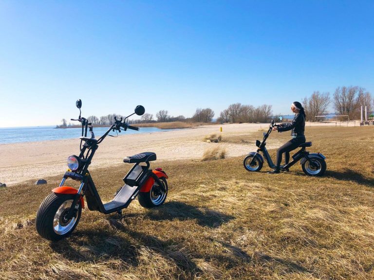 Huur een e-chopper en ga een dagje op pad — natuur in Makkum