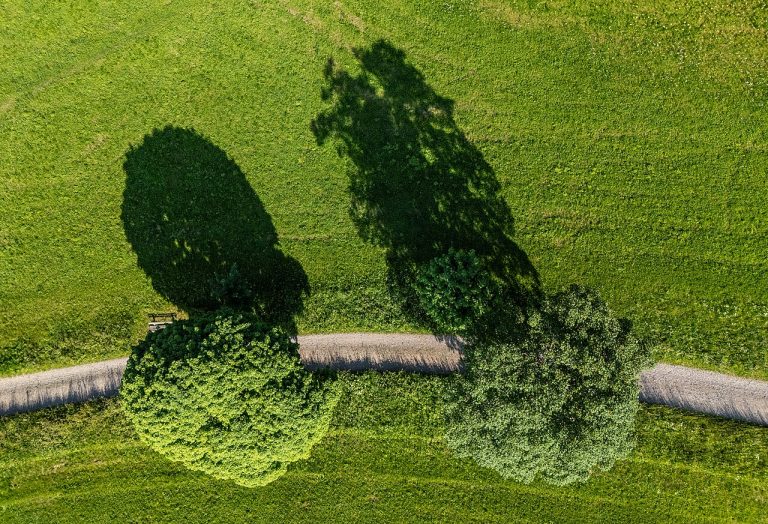 Huur een e-chopper en ga een dagje op pad — natuur in Makkum