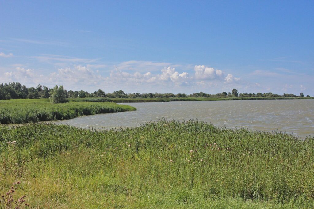 Ontdek de Makkumersúdwaard tijdens een herfstwandeling in Makkum