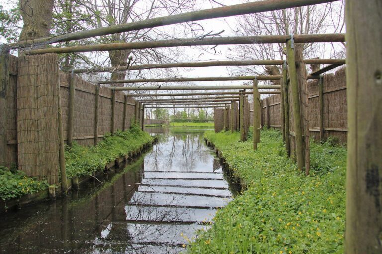 Kijk achter de schermen bij eendenkooi Buismanskoai bij Piaam — natuur in Makkum