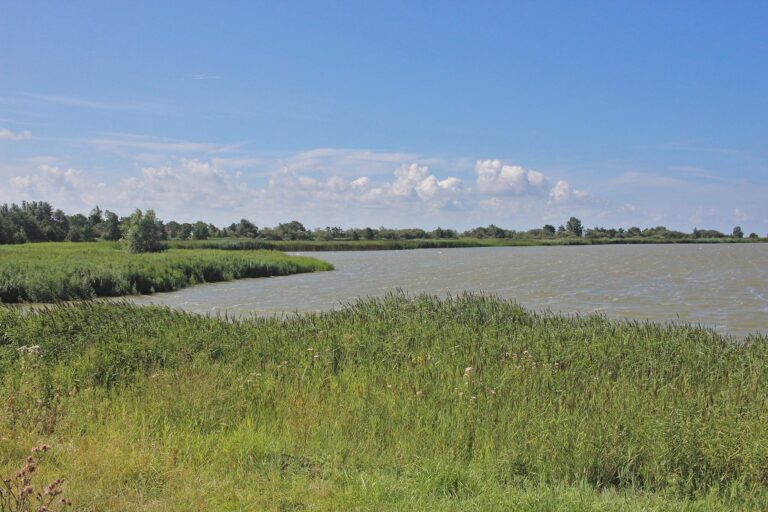 Winterwandeling over de Makkumersúdwaard aan het IJsselmeer — natuur in Makkum